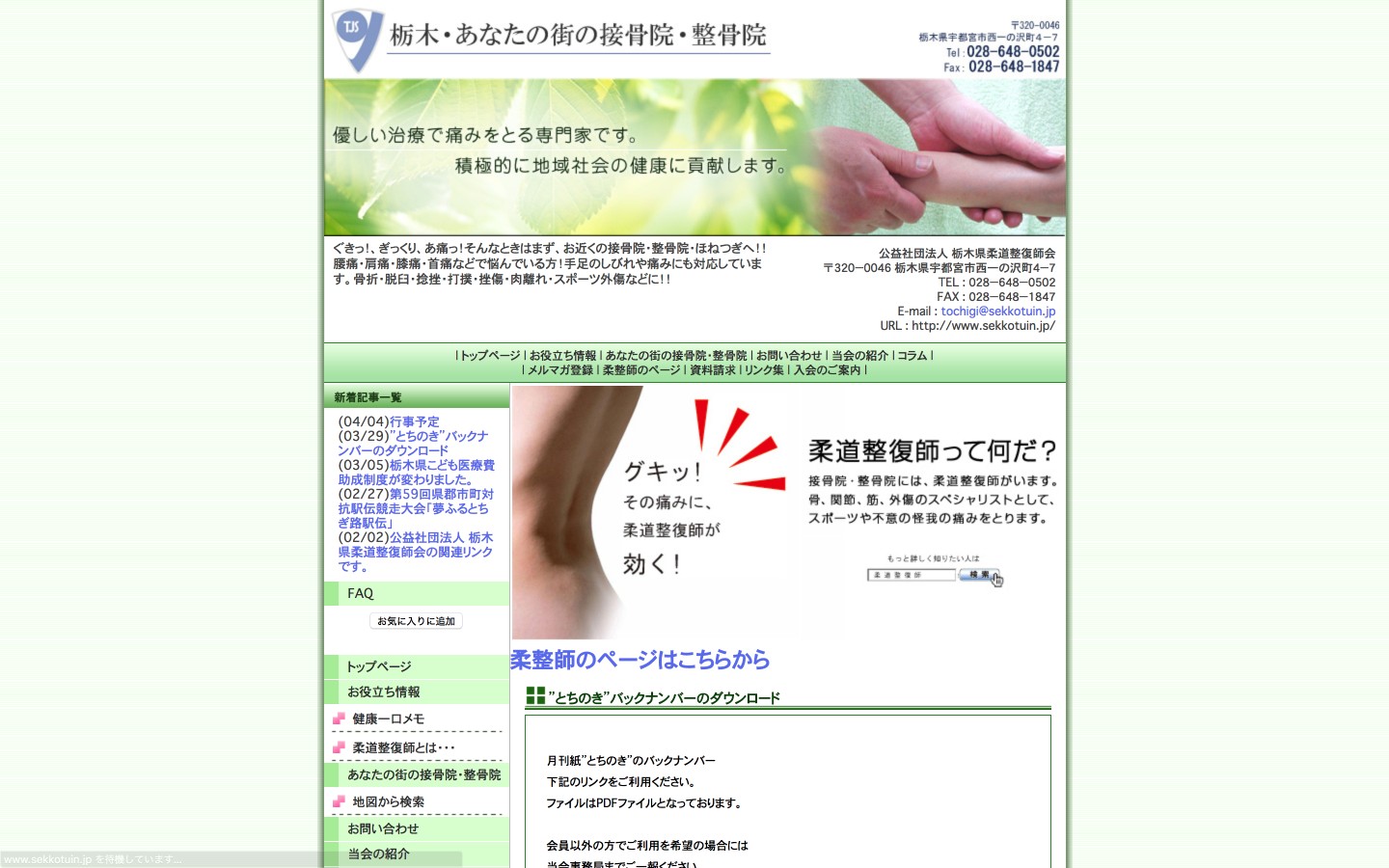 栃木県柔道整復師会ホームページのイメージ